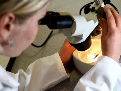 EStem cells create early human embryo structure, study suggests (David Davies/PA)