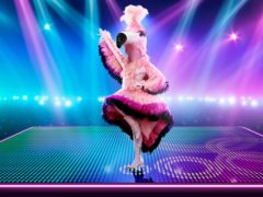 Flamingo on The Masked Dancer (ITV/PA)