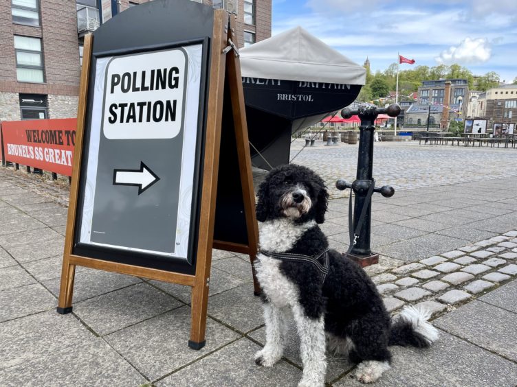 Dogs at polling stations were among the sights catching voters’ interest (Claire Hayhurst/PA)