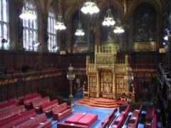The House of Lords chamber (Eddie Mulholland/The Daily Telegraph/PA)
