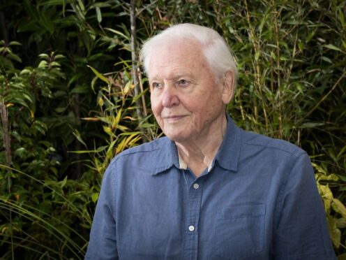Sir David Attenborough hails ‘revolution’ in global attitudes towards plants (Jane Barlow/ PA)