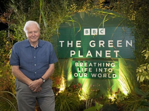 Sir David Attenborough has said he hopes his latest documentary series ‘brings home’ the importance of plants to the public (Jane Barlow/PA)