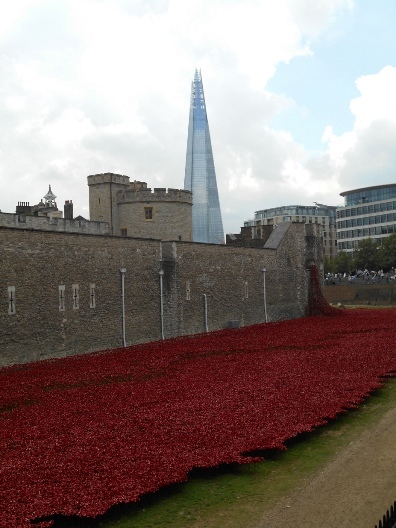 The poppies at The Tower of London. Photo by Judith McLaren