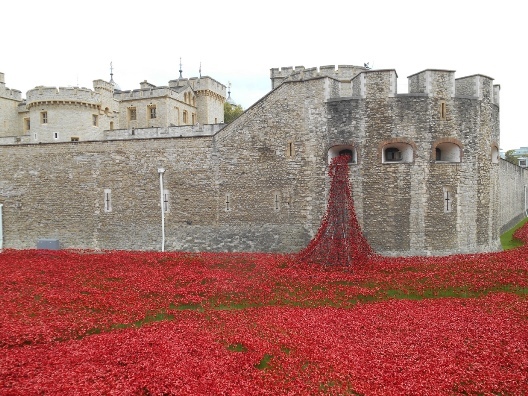 The poppies at The Tower of London. Photo by Judith McLaren