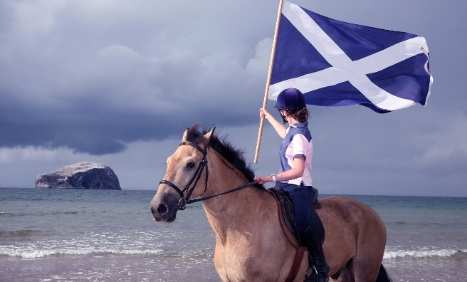 The Saltire Festival 2014