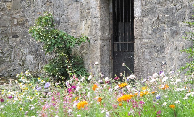 One of the Gardens of the Royal Mile