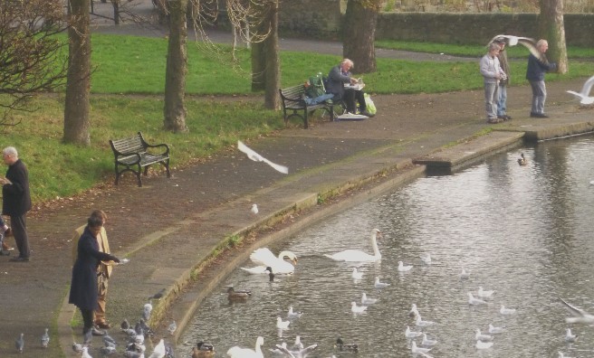 Inverleith Park's pond