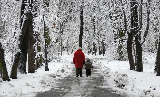 A magical walk among snow covered trees