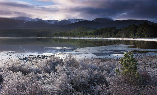 Loch Morlich and the Cairngorms at dawn