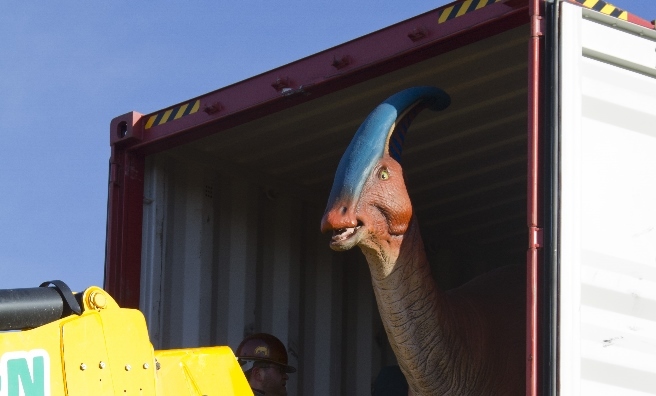 The Parasaurolophus gets his first glimpse of Scotland's blue skies