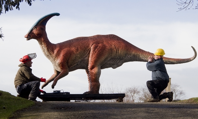 The Parasaurolophus is carefully manouvred into his spot on the hill at Edinburgh Zoo