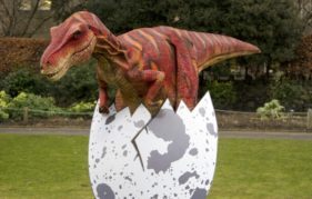 Velma The Velociraptor hatches out of her egg to make her first appearance at Edinburgh Zoo