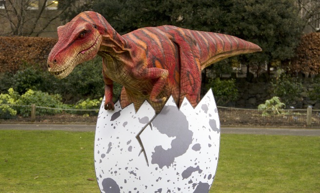 Velma The Velociraptor hatches out of her egg to make her first appearance at Edinburgh Zoo