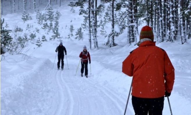 New tracks cut by the Glenmore Cross Country Ski Machine