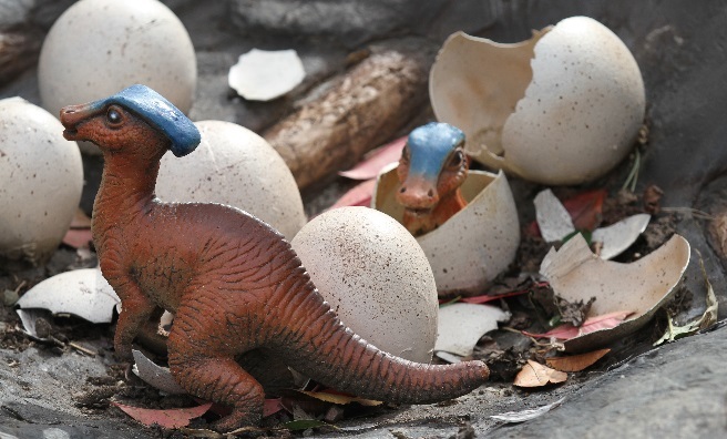 Just hatched! Two baby Parasaurolophus say hello to the world - and Edinburgh Zoo. Photo copyright RZSS