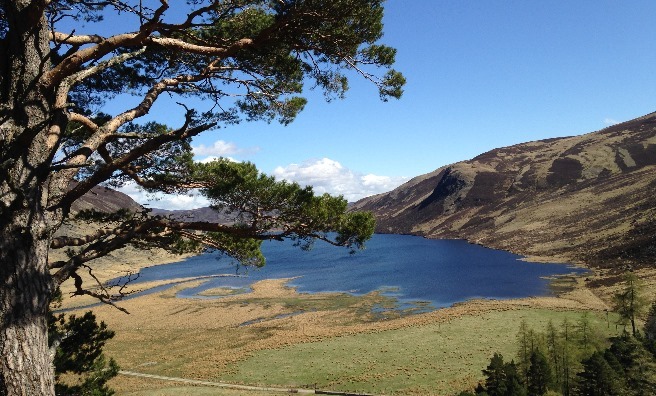 The stunning view across Loch Lee from our coffee and scone vantage point