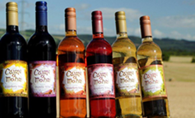 Sample the unique fruit wines