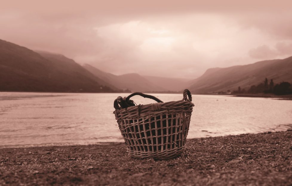 Scotland's seaweed harvest is about to begin. Photo courtesy of www.maraseaweed.com