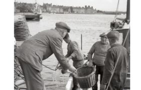Landing fish at Montrose Harbour. Photo courtesy of Angus Archives.