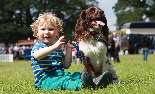 Relaxing in the sun at the GWCT Scottish Game Fair 2015