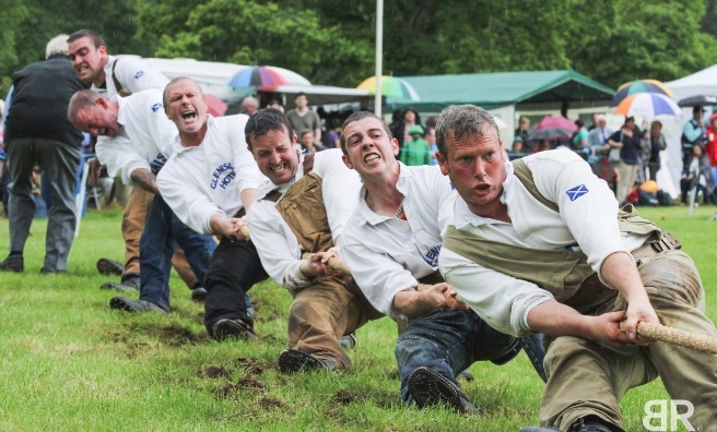 The pulling power of these strong men's in no doubt! Photo by Barry Robb