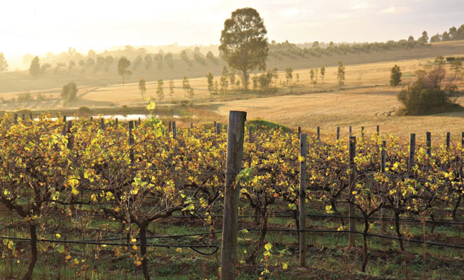 Hunter Valley was established by Busby