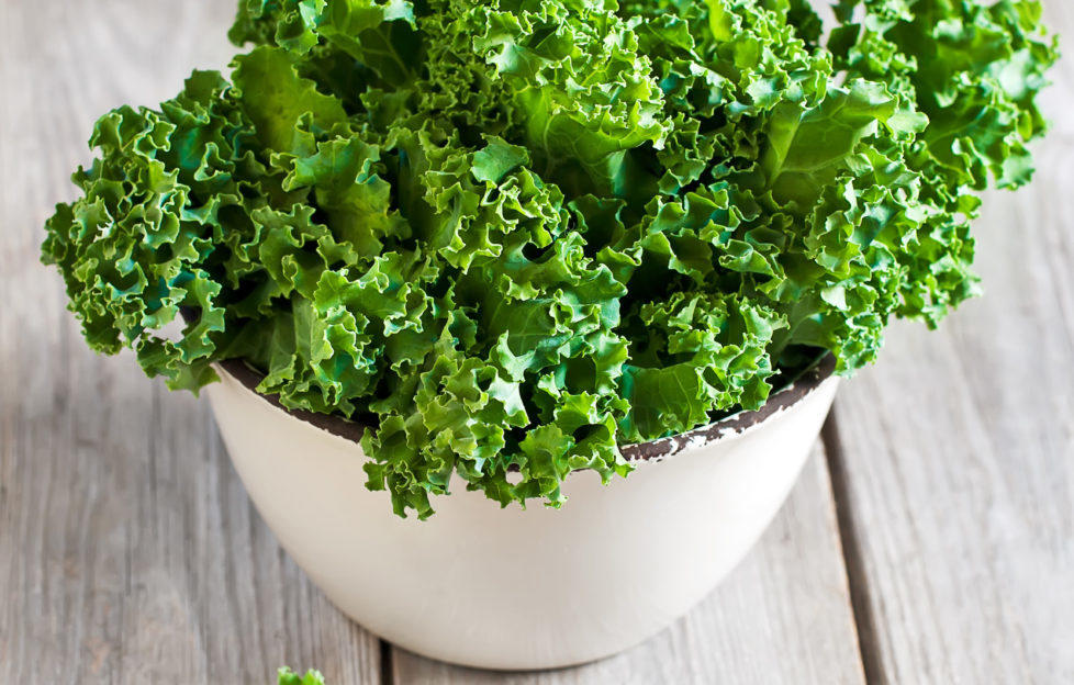 Kale is really easy to grow yourself - and it's incredibly good for you too! Pic: Shutterstock