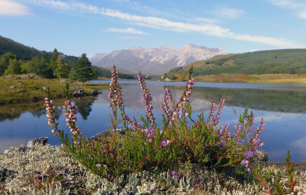 Polly Pullar captures the beauty of Wester Ross