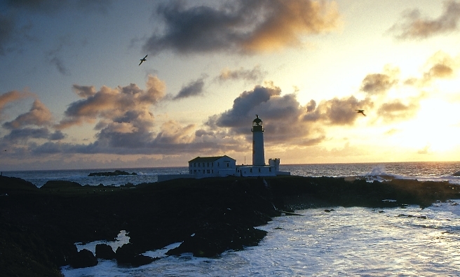 Fair Isle. Photo courtesy of National Trust for Scotland