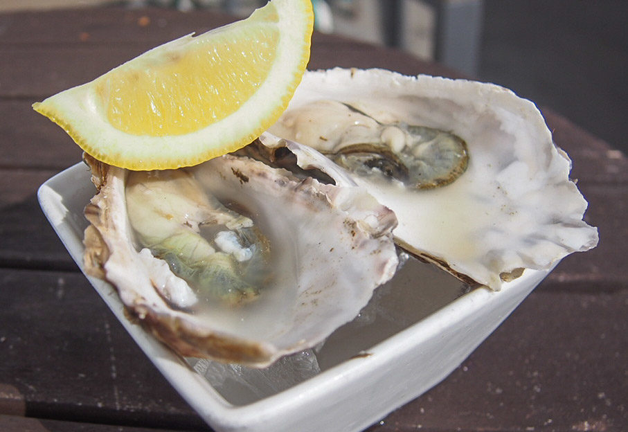 Oysters - Café Fish