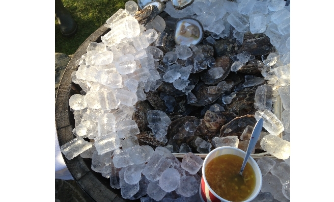 From now on, I will only eat oysters on the banks of a mountain loch, hidden away in a forest!