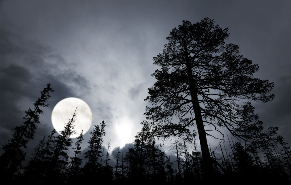 Awaiting the darkness... Pic: Shutterstock