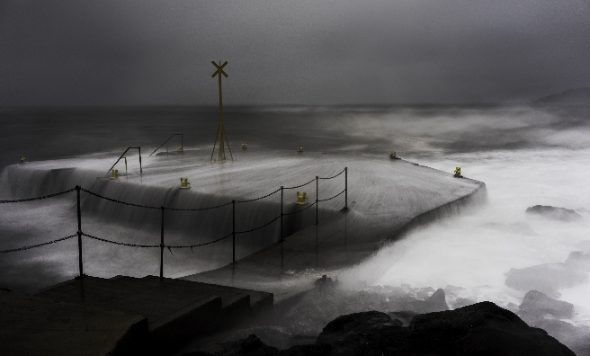 The Pier by Lewis Henderson. Courtesy of Scottish Seabird Centre Nature Photography Awards