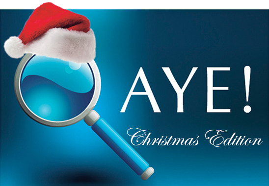 Christmas-Q-Aye-Carousel