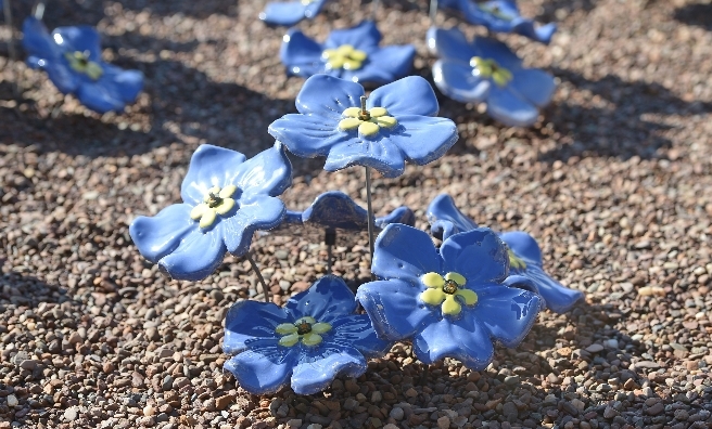 800 handcrafted ceramic forget-me-nots launched the hospice's appeal. Photo by Neil Hanna