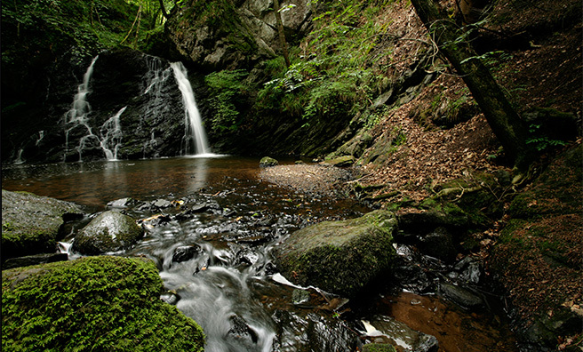 Fairy Glen Inverness