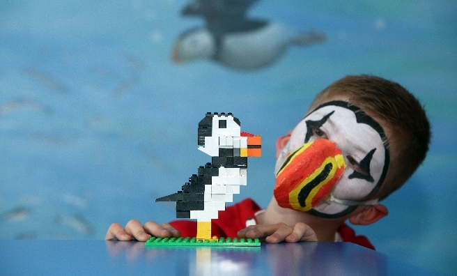 Nine-year-old John MacLeod from Tranent with his lego puffin © Steve Cox