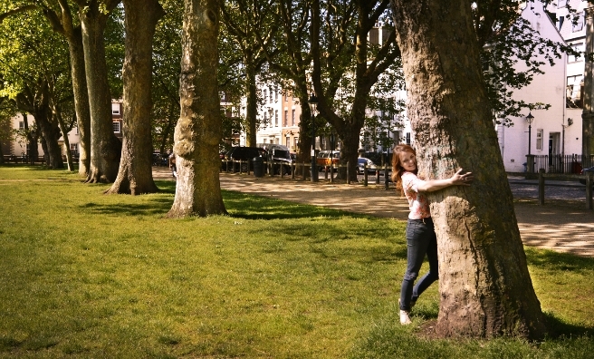 City trees need love, too!