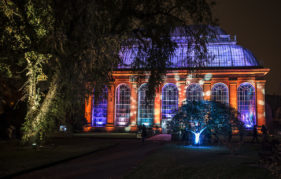 See Edinburgh's Botanic Gardens illuminated at night for the cleverly named Botanic Lights!