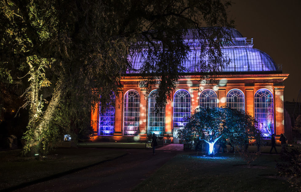 See Edinburgh's Botanic Gardens illuminated at night for the cleverly named Botanic Lights!