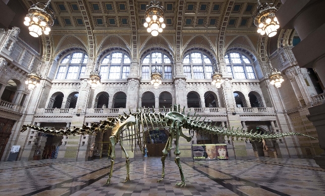 An image of Dippy superimposed into the Centre Hall at Kelvingrove Art Gallery and Museum @Glasgow Museums