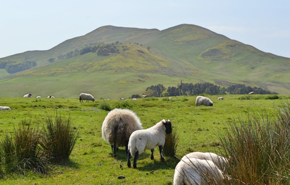 Escape to the country with a trip to the Pentlands!