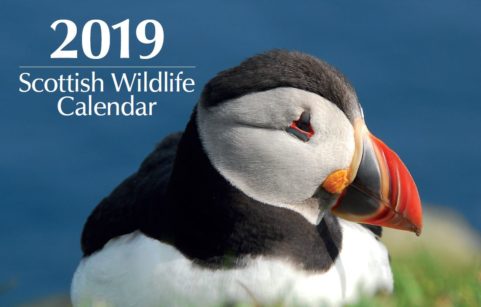 Our New Wildlife Calendar For 2019 Now Available - The Scots Magazine