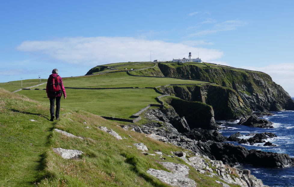 shetland