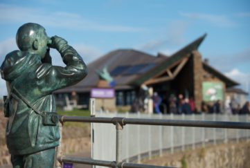 Scottish Seabird Centre