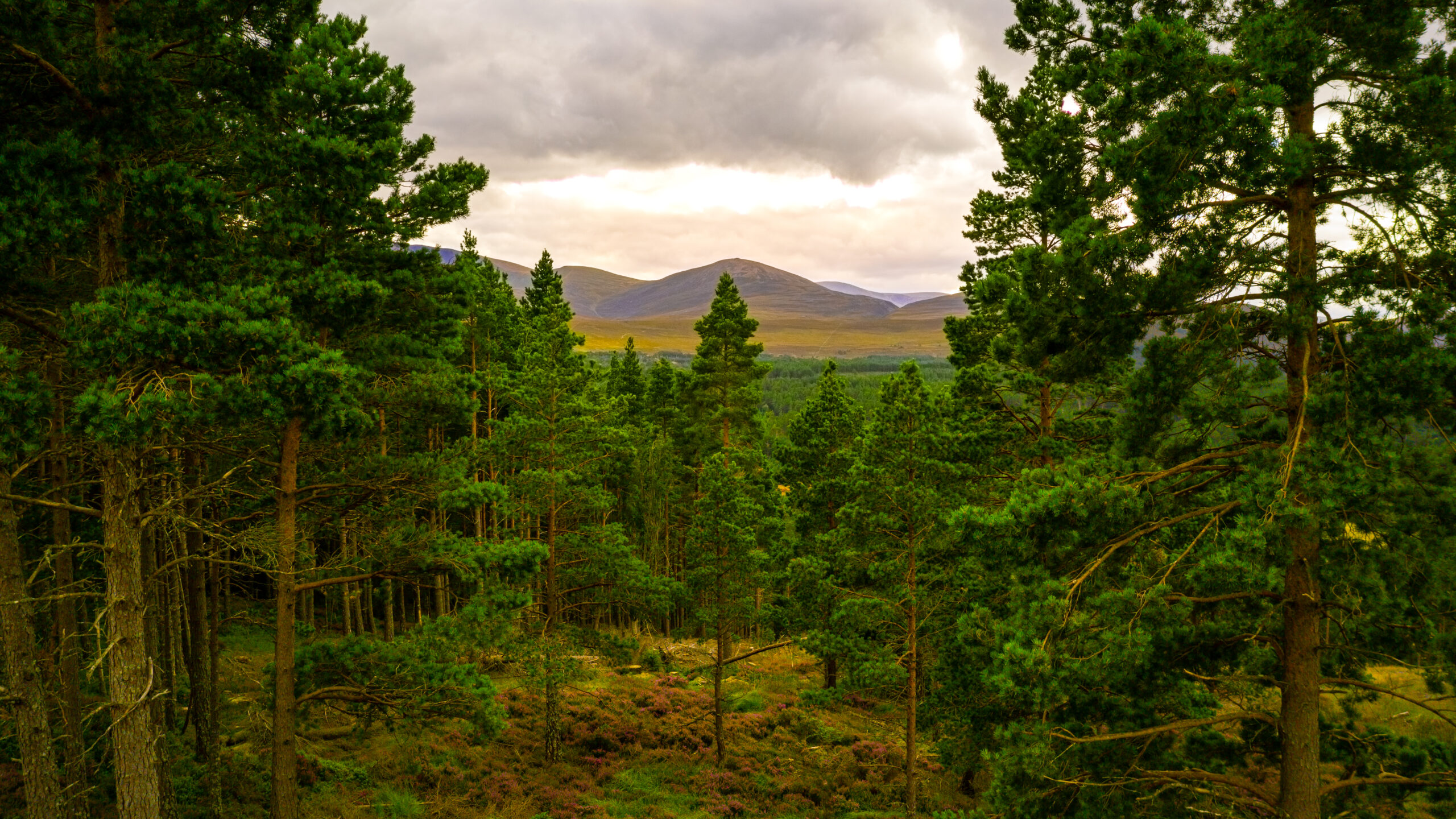 The Cairngorms was the second Scottish National Park