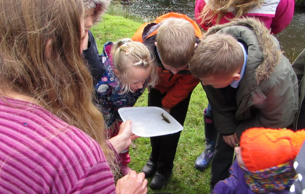 Lochaline School Children Première Their Short Film To Conserve Rare 