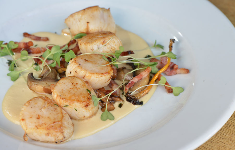 Scallops with onion and Gruyère purée, pancetta and mushrooms
