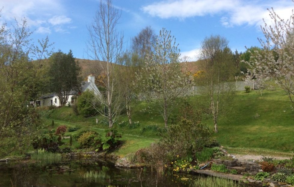 Heart in the Highlands? Your heart could be here Scottish Field