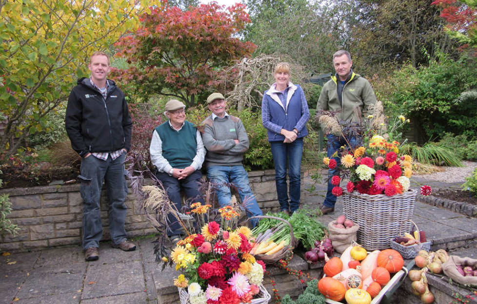 Celebrating 40 years of the Beechgrove Garden Scottish Field